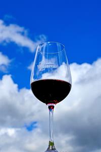 VOC vinice * Putování vinicemi za víny VOC 2024