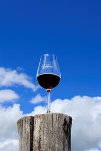 VOC vinice * Putování vinicemi za víny VOC 2024