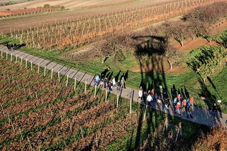 Velkopavlovický okrašlovací spolek * PODZIMNÍ ŠLAPKA aneb UZAVÍRÁNÍ TURISTICKÉ SEZÓNY 2024