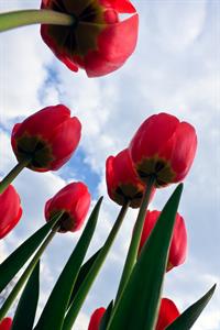 UMĚNÍM POZNÁVÁME SVÉ SOUSEDY * výstupy DUBEN 2011