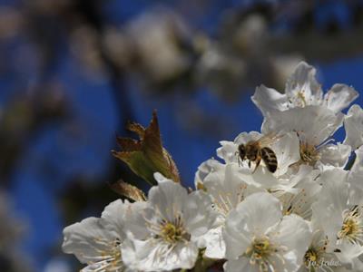 UMĚNÍM POZNÁVÁME SVÉ SOUSEDY * výstupy DUBEN 2011