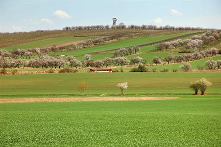 UMĚNÍM POZNÁVÁME SVÉ SOUSEDY * výstupy DUBEN 2011
