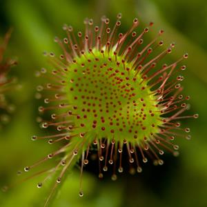 UMĚNÍM POZNÁVÁME SVÉ SOUSEDY * výstupy DUBEN 2011