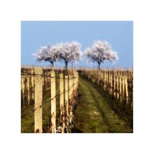 UMĚNÍM POZNÁVÁME SVÉ SOUSEDY * výstupy DUBEN 2011