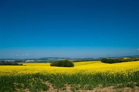 UMĚNÍM POZNÁVÁME SVÉ SOUSEDY * výstupy DUBEN 2011
