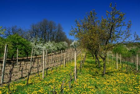 UMĚNÍM POZNÁVÁME SVÉ SOUSEDY * výstupy DUBEN 2011