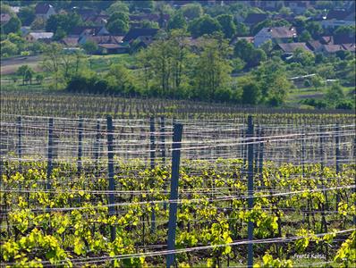 UMĚNÍM POZNÁVÁME SVÉ SOUSEDY * výstupy KVĚTEN 2011