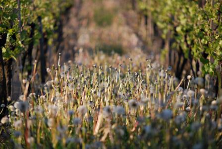 UMĚNÍM POZNÁVÁME SVÉ SOUSEDY * výstupy KVĚTEN 2011