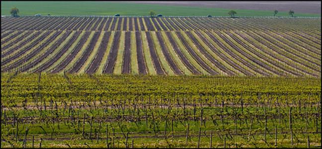 UMĚNÍM POZNÁVÁME SVÉ SOUSEDY * výstupy KVĚTEN 2011