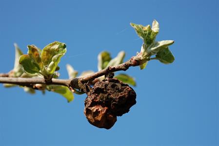 UMĚNÍM POZNÁVÁME SVÉ SOUSEDY * výstupy KVĚTEN 2011