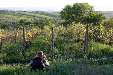 UMĚNÍM POZNÁVÁME SVÉ SOUSEDY * výstupy KVĚTEN 2011