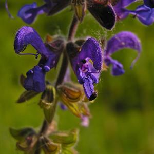 UMĚNÍM POZNÁVÁME SVÉ SOUSEDY * výstupy ČERVEN 2011