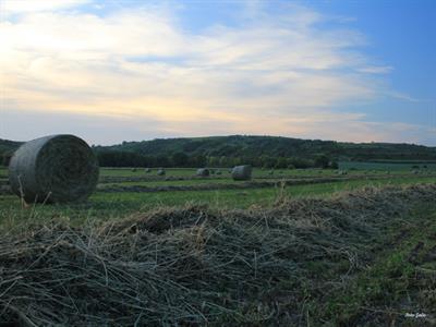 UMĚNÍM POZNÁVÁME SVÉ SOUSEDY * výstupy ČERVEN 2011