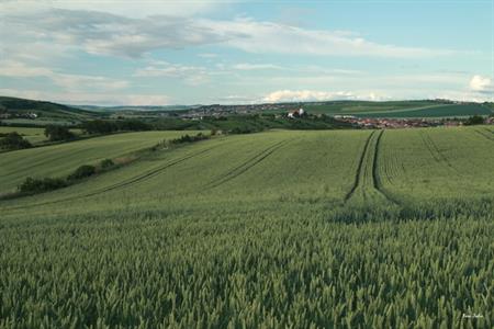 UMĚNÍM POZNÁVÁME SVÉ SOUSEDY * výstupy ČERVEN 2011