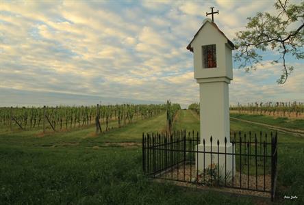 UMĚNÍM POZNÁVÁME SVÉ SOUSEDY * výstupy ČERVEN 2011