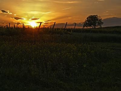 UMĚNÍM POZNÁVÁME SVÉ SOUSEDY * výstupy ČERVEN 2011