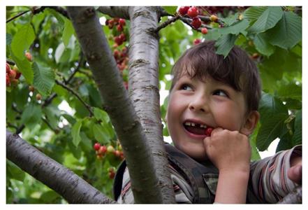 UMĚNÍM POZNÁVÁME SVÉ SOUSEDY * výstupy ČERVEN 2011