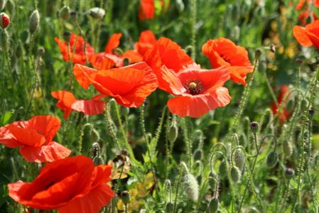 UMĚNÍM POZNÁVÁME SVÉ SOUSEDY * výstupy ČERVEN 2011