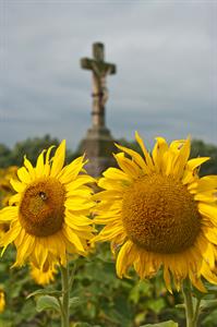 UMĚNÍM POZNÁVÁME SVÉ SOUSEDY * výstupy ČERVENEC 2011