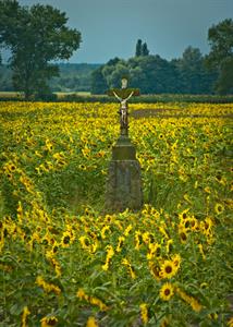UMĚNÍM POZNÁVÁME SVÉ SOUSEDY * výstupy ČERVENEC 2011