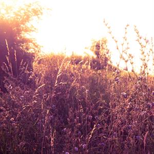 UMĚNÍM POZNÁVÁME SVÉ SOUSEDY * výstupy ČERVENEC 2011