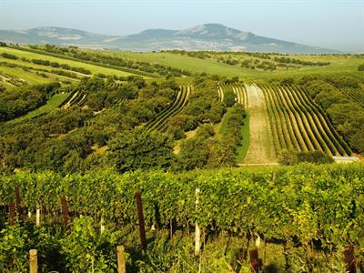 UMĚNÍM POZNÁVÁME SVÉ SOUSEDY * výstupy ČERVENEC 2011