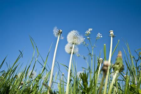 UMĚNÍM POZNÁVÁME SVÉ SOUSEDY * výstupy ČERVENEC 2011