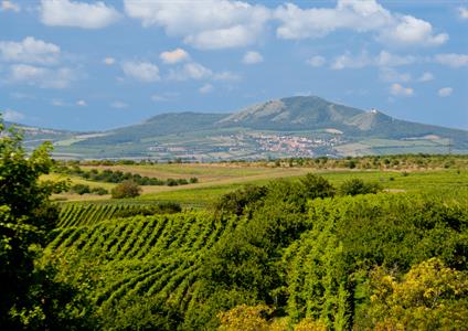 UMĚNÍM POZNÁVÁME SVÉ SOUSEDY * výstupy ČERVENEC 2011