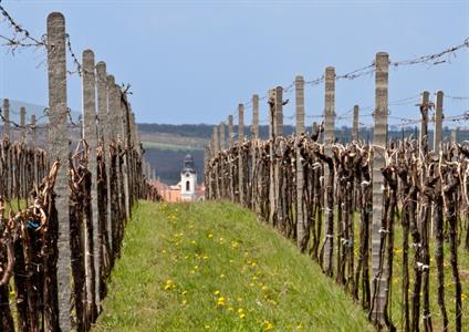 UMĚNÍM POZNÁVÁME SVÉ SOUSEDY * výstupy ČERVENEC 2011