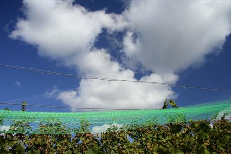 UMĚNÍM POZNÁVÁME SVÉ SOUSEDY * výstupy ČERVENEC 2011