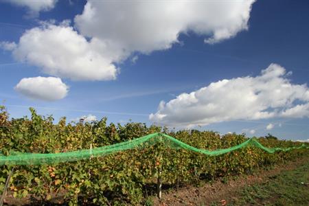 UMĚNÍM POZNÁVÁME SVÉ SOUSEDY * výstupy ČERVENEC 2011