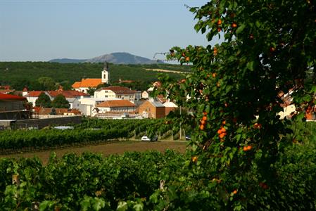 UMĚNÍM POZNÁVÁME SVÉ SOUSEDY * výstupy ČERVENEC 2011