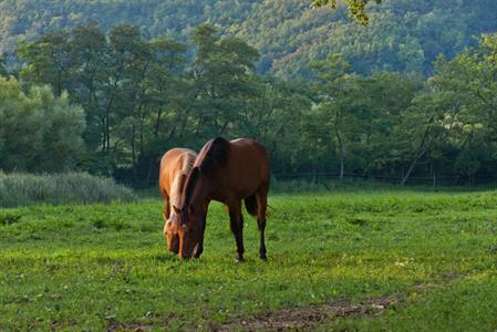 UMĚNÍM POZNÁVÁME SVÉ SOUSEDY * výstupy SRPEN 2011