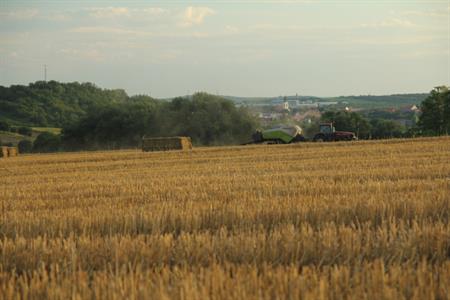 UMĚNÍM POZNÁVÁME SVÉ SOUSEDY * výstupy SRPEN 2011