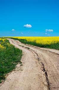 UMĚNÍM POZNÁVÁME SVÉ SOUSEDY * výstupy SRPEN 2011