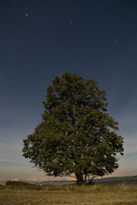 UMĚNÍM POZNÁVÁME SVÉ SOUSEDY * výstupy SRPEN 2011