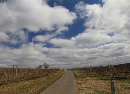 UMĚNÍM POZNÁVÁME SVÉ SOUSEDY * výstupy ZÁŘÍ 2011