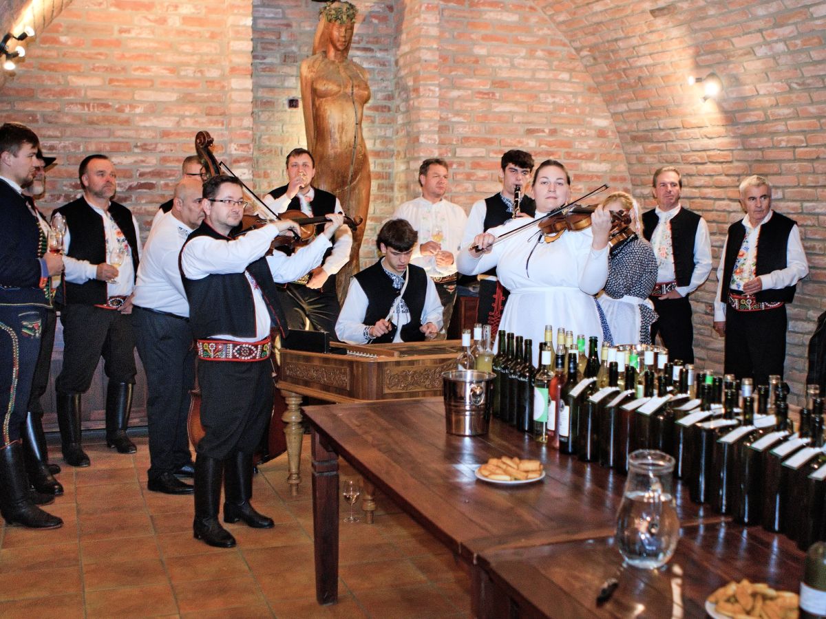 Videoreportáž RTV Jih - Ve Velkých Pavlovicích požehnali mladým vínům ročníku 2025