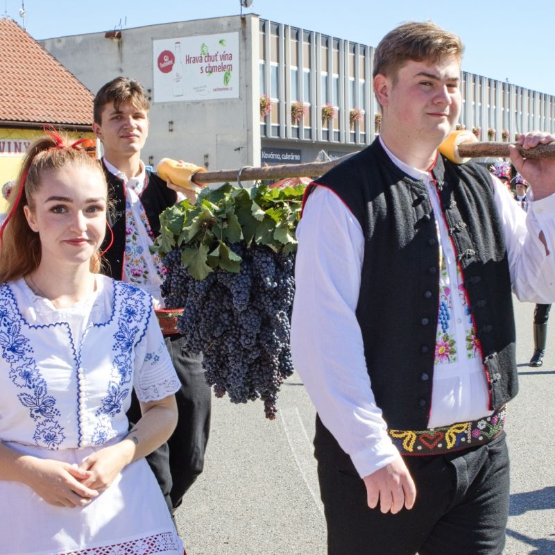 Velkopavlovické vinobraní proběhlo za krásného počasí