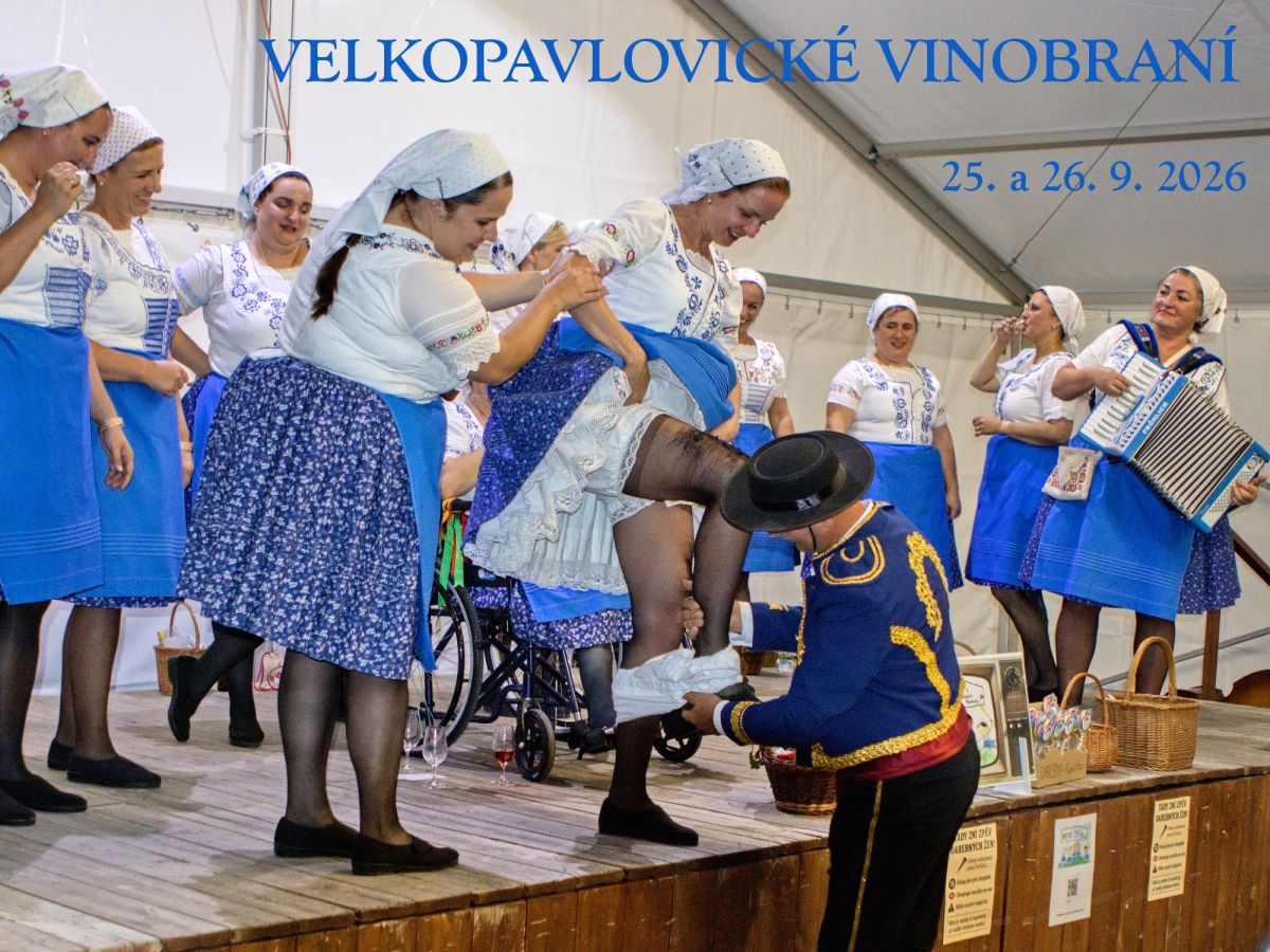 TIP na skvělý vánoční dárek - VSTUPENKA na Velkopavlovické vinobraní 2026