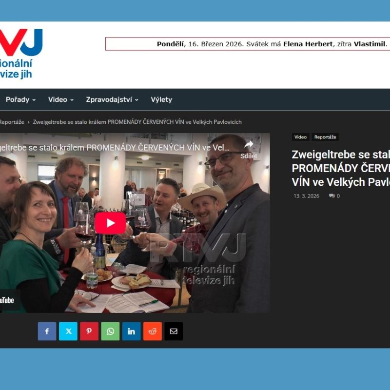 Videoreportáž RTV Jih - Zweigeltrebe se stalo králem PROMENÁDY ČERVENÝCH VÍN