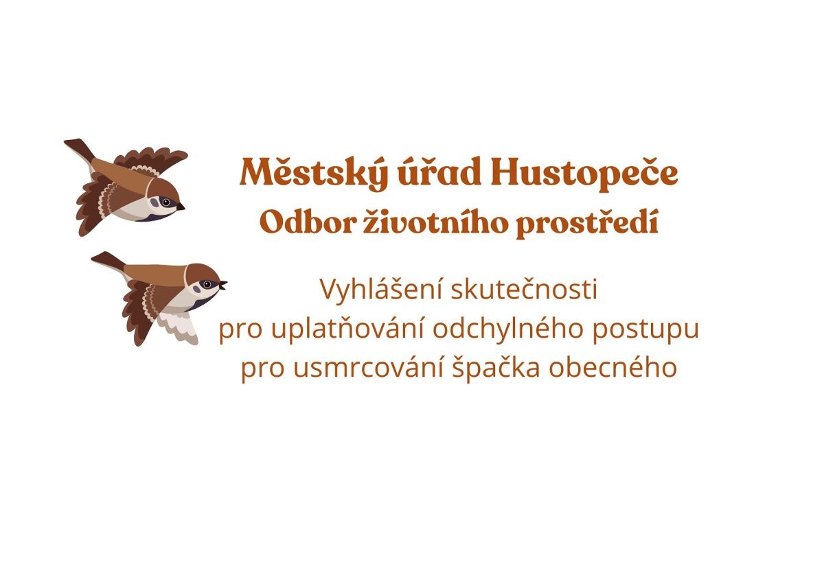 Zprávy z MěÚ Hustopeče - Odbor životního prostředí - usmrcování špačka obecného