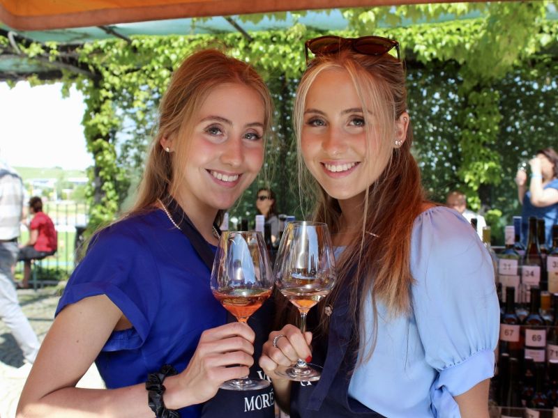 Soutěž vín MODROHORSKÁ PECKA & Festival vinařů VOC MODRÉ HORY roku 2026