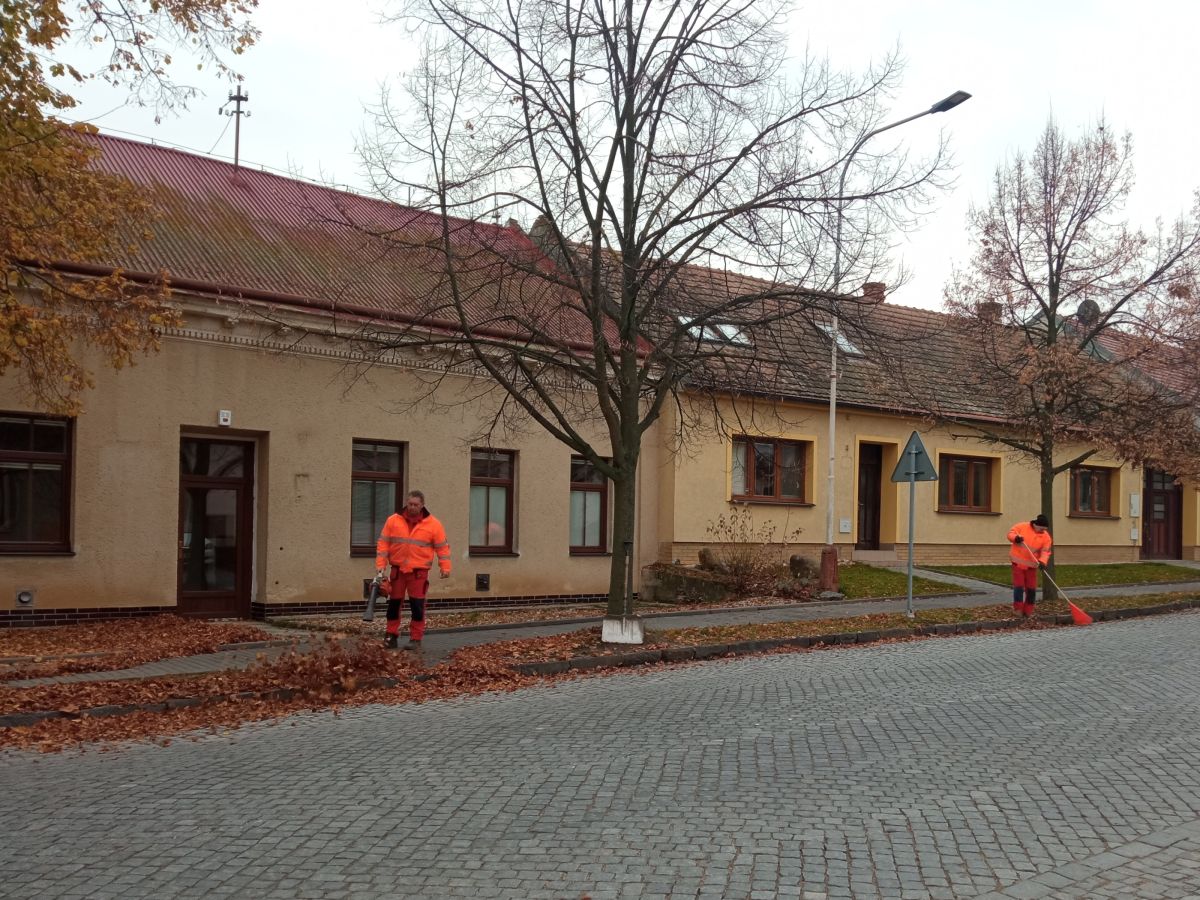 Podzimní evergreen: listí, listí, listí