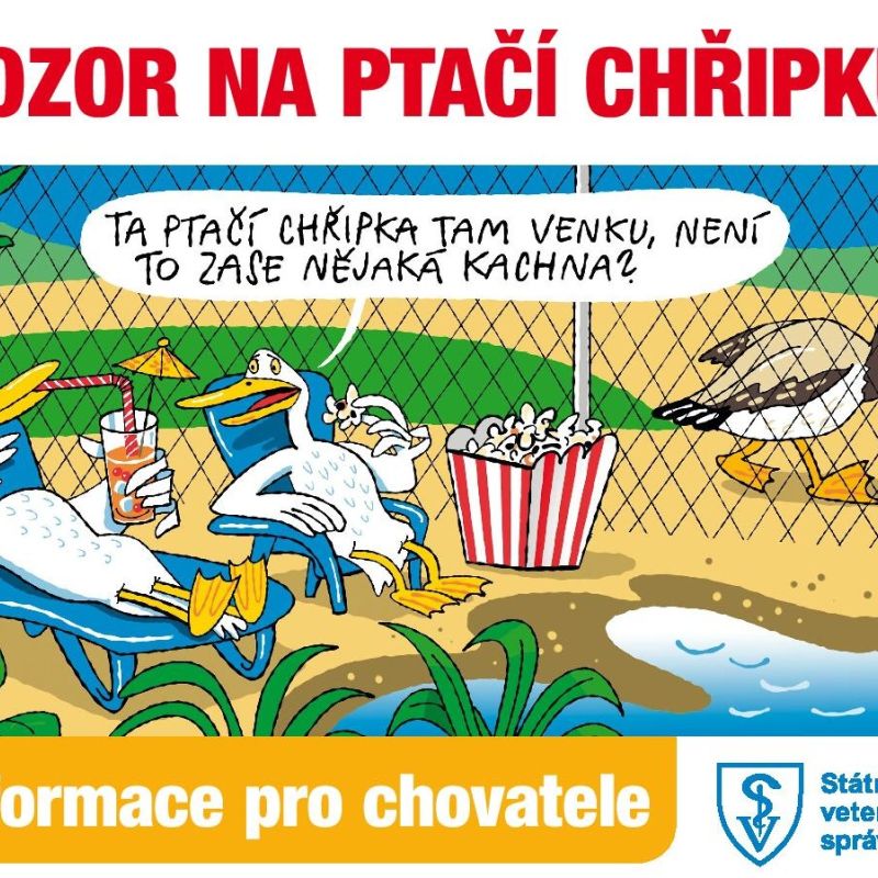 Upozornění Krajské veterinární správy JmK - ptačí chřipka a Newcastleská choroba