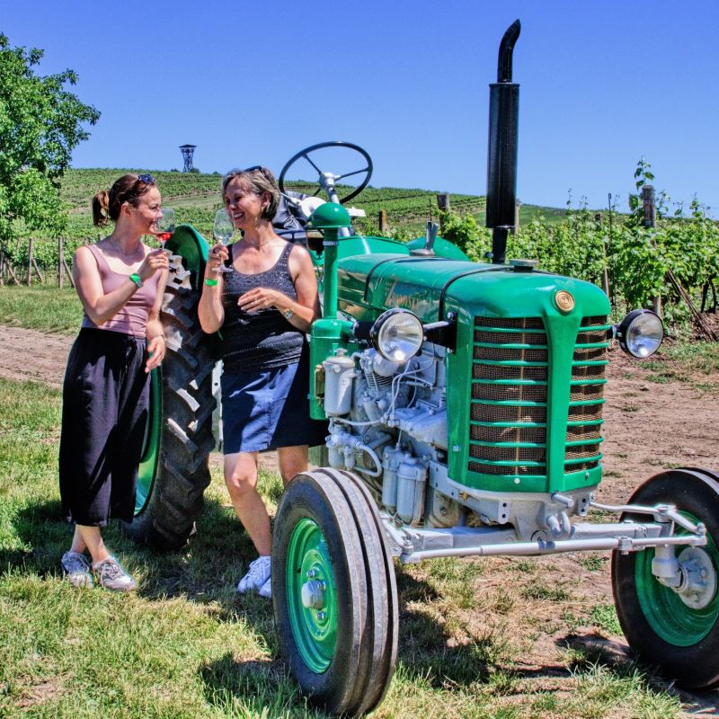 Letošní Putování vinicemi za víny VOC? Sluncem prozářená pohoda