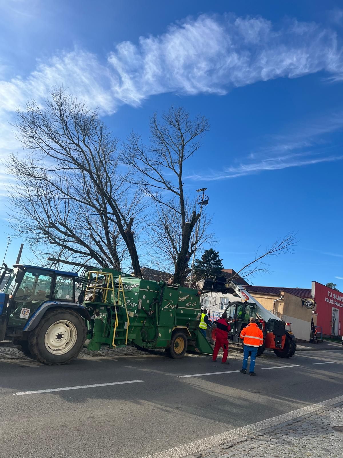 Kácení náletových dřevin