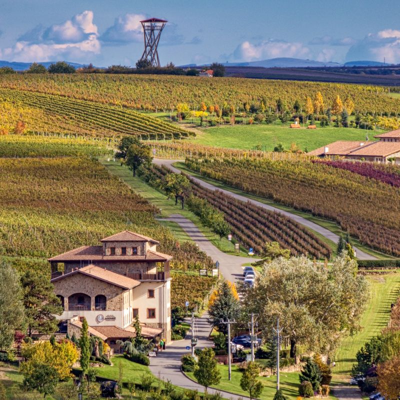 Podzim ve Velkých Pavlovicích