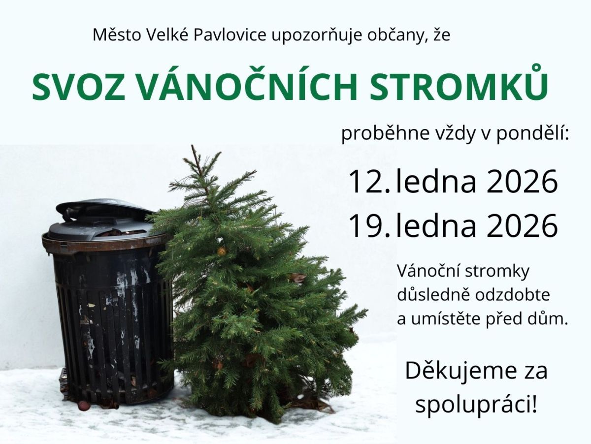 Svoz vánočních stromků. Vždy v pondělí