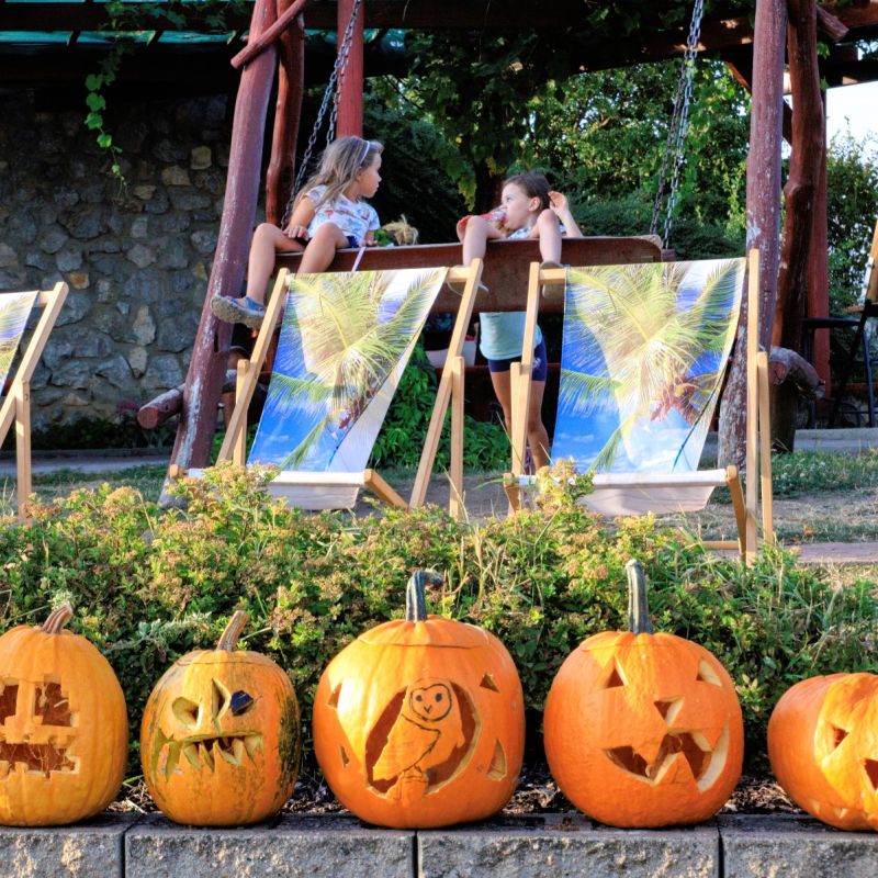 Veselé dýňobraní pod rozhlednou Slunečná
